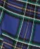 Blue Plaid Swing Dress