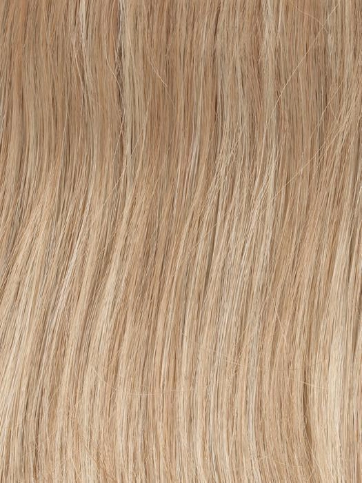 Curves Ahead Wig by Gabor | Synthetic (Lace Front)