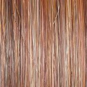 Flip The Script Wig by Raquel Welch | Heat Friendly Synthetic (Lace Front Mono)