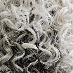 Flip The Script Wig by Raquel Welch | Heat Friendly Synthetic (Lace Front Mono)