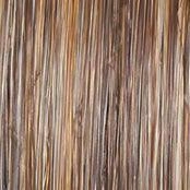 Flip The Script Wig by Raquel Welch | Heat Friendly Synthetic (Lace Front Mono)