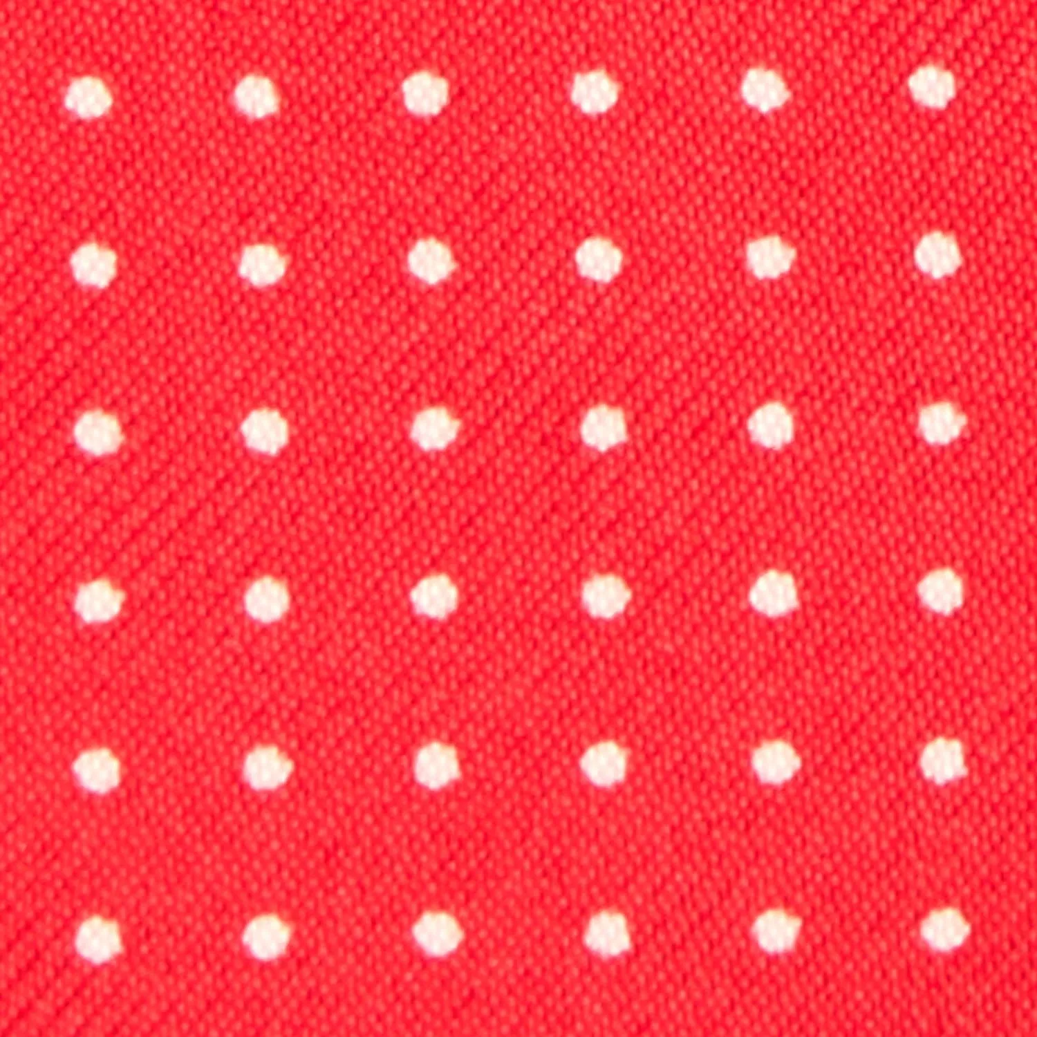 RED GLASSES CASE